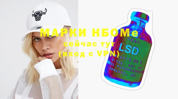 индика Алексин