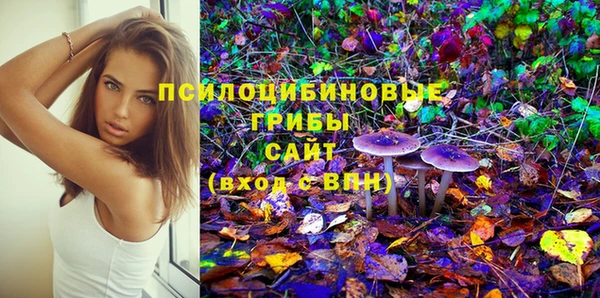бутират Арсеньев