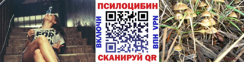 Галлюциногенные грибы Magic Shrooms нарко площадка как зайти Кулебаки